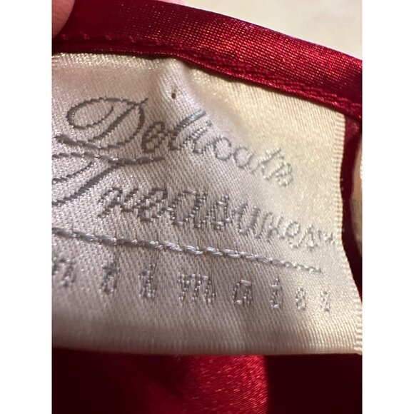 Y2k Delicate Treasures Baby Doll XL Chemise  Nightie Satin Slip Dress Velvet - Picture 10 of 11